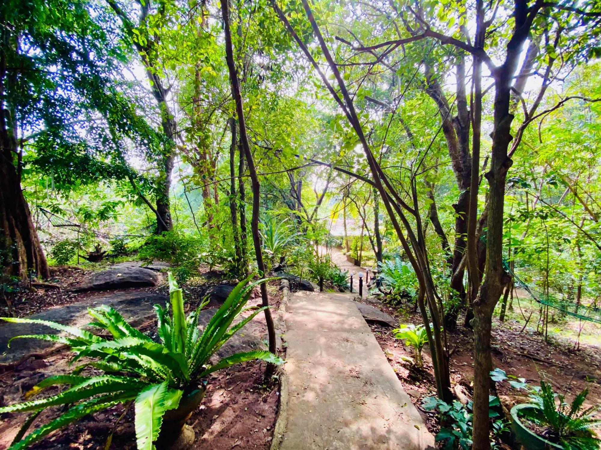 Green House Resort Sigiriya Exterior photo
